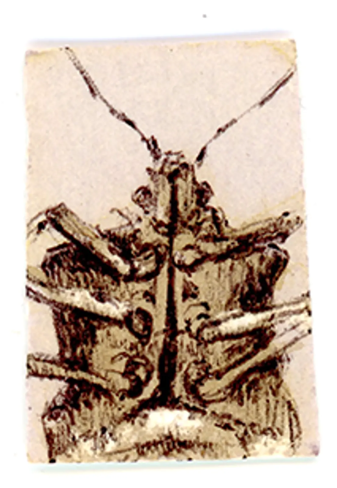 an artwork by Suzanne Levesque